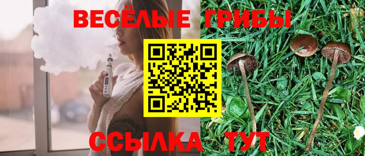 Псилоцибиновые грибы Magic Shrooms  Богородск 