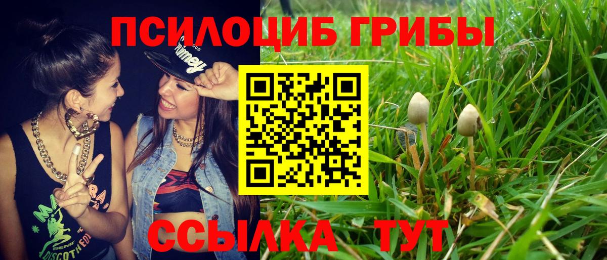 Богородск  Галлюциногенные грибы MAGIC MUSHROOMS  сколько стоит  Вход с VPN 